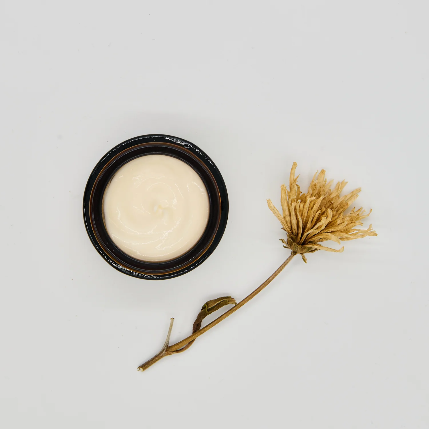 Crème contour des yeux - bakuchiol & thé vert - WHOLESALE - Image 3