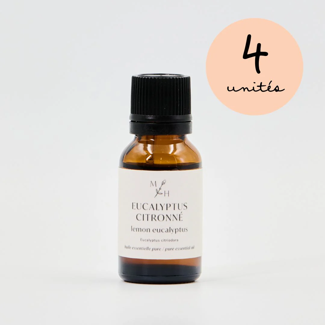 Eucalyptus citronné - WHOLESALE