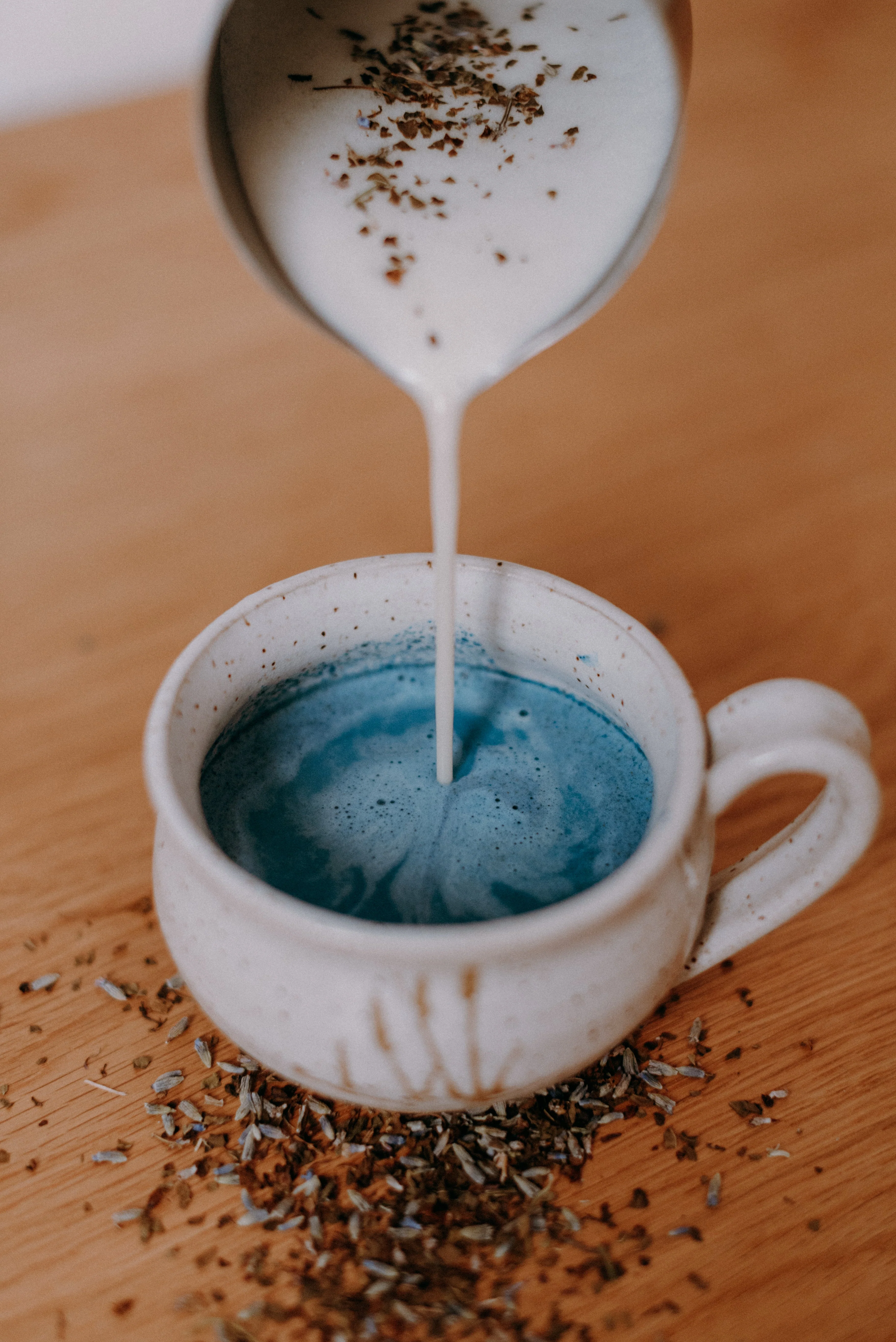 Latté nocturne bleu | lavande et basilic sacré - WHOLESALE - Image 3